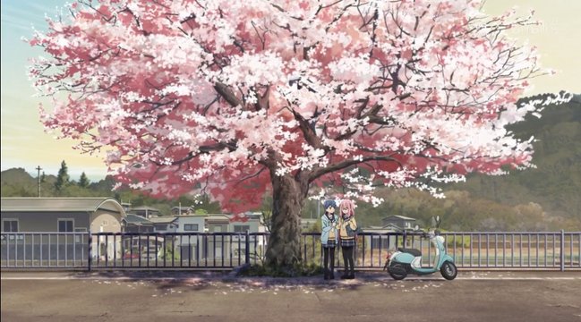 Cherry Blossom Tree at the Station
